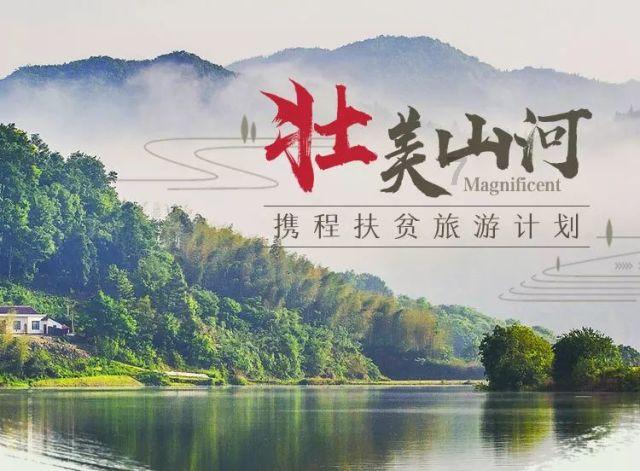 胖小猫救援