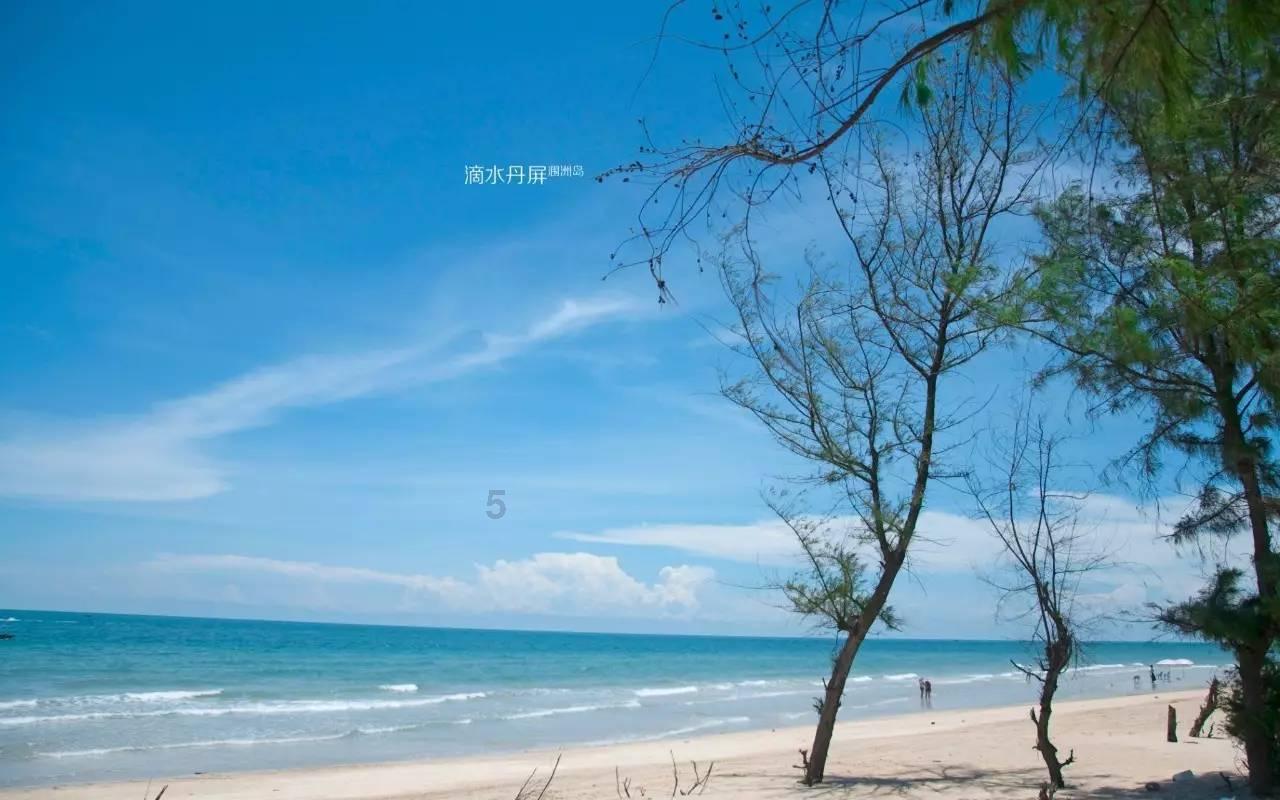 篮球大师