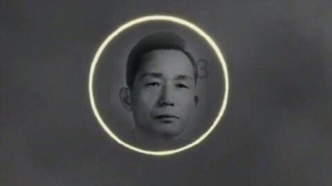 燃烧吧大脑免广告最新版