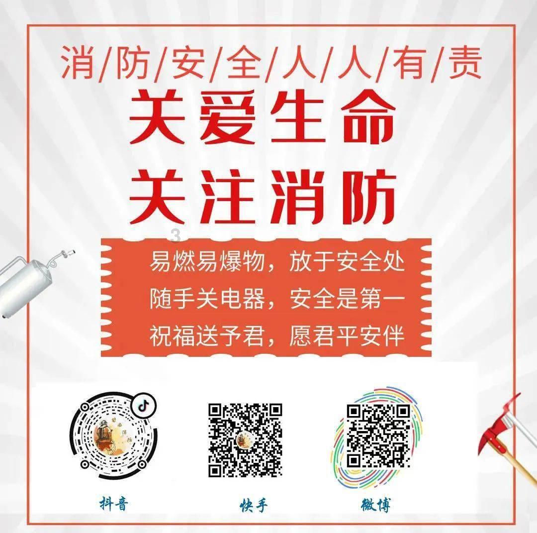 汽车大观|生而成林:新周期的沃尔沃答案